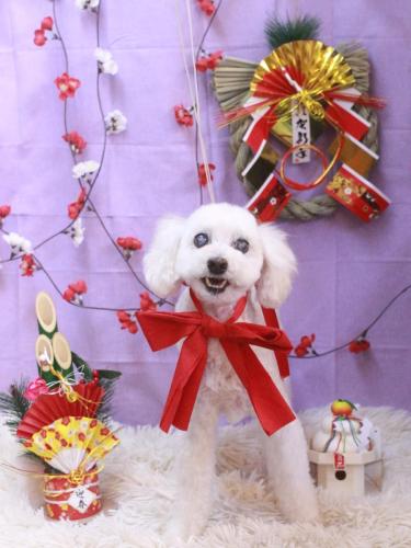 20230131エフくん